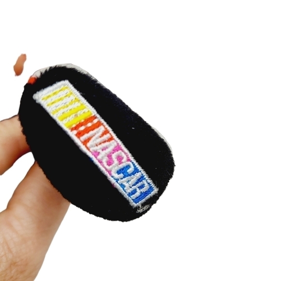 Vintage 1999 Dale Earnhardt Sr #3 Team Speed Bear Collectors Memorabilia NASCAR - Picture 14 of 14